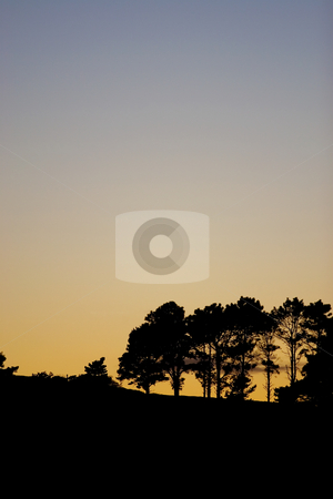 To use this stock image in your creative project, please select the size you need over to the right and click the "Add to Cart" button.
Your downloaded image will come with the Cutcaster watermark removed so don’t worry about the watermark you see on this page. Silhouette #4 stock photo, Silhouette of trees at sunset by Sean Nel
