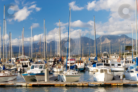 To use this stock image in your creative project, please select the size you need over to the right and click the "Add to Cart" button.
Your downloaded image will come with the Cutcaster watermark removed so don’t worry about the watermark you see on this page. Harbour #17 stock photo, Boats at Knysna Harbour, South Africa by Sean Nel