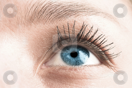 To use this stock image in your creative project, please select the size you need over to the right and click the "Add to Cart" button.
Your downloaded image will come with the Cutcaster watermark removed so don’t worry about the watermark you see on this page. Eye #3 stock photo, Close-up of a blue eye by Sean Nel