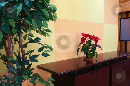 To use this stock image in your creative project, please select the size you need over to the right and click the "Add to Cart" button.
Your downloaded image will come with the Cutcaster watermark removed so don’t worry about the watermark you see on this page. Small plant in office lobby stock photo, Small plant against an orange block pattern in an office lobby on a brown cabinet top with a evergreen tree on the side by Sean Nel