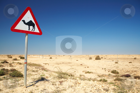 To use this stock image in your creative project, please select the size you need over to the right and click the "Add to Cart" button.
Your downloaded image will come with the Cutcaster watermark removed so don’t worry about the watermark you see on this page. Camel warning sign stock photo, Warning sign for camels on the road next to the roadway in Qatar, Middle East by Sean Nel