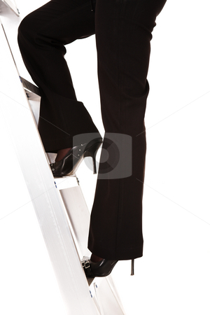 To use this stock image in your creative project, please select the size you need over to the right and click the "Add to Cart" button.
Your downloaded image will come with the Cutcaster watermark removed so don’t worry about the watermark you see on this page. Ladder to success stock photo, Businesswoman in stilettos climbing the ladder to success by Sean Nel