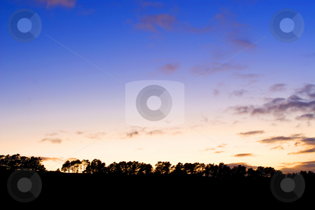 To use this stock image in your creative project, please select the size you need over to the right and click the "Add to Cart" button.
Your downloaded image will come with the Cutcaster watermark removed so don’t worry about the watermark you see on this page. Silhouette #6 stock photo, Silhouette of trees at sunset by Sean Nel