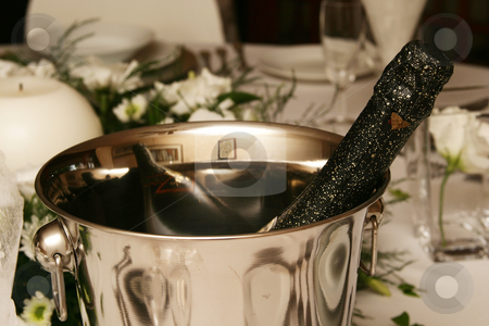 To use this stock image in your creative project, please select the size you need over to the right and click the "Add to Cart" button.
Your downloaded image will come with the Cutcaster watermark removed so don’t worry about the watermark you see on this page. Champagne stock photo, Champagne in Ice Bucket by Sean Nel