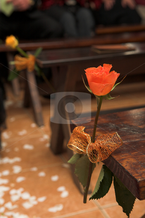 To use this stock image in your creative project, please select the size you need over to the right and click the "Add to Cart" button.
Your downloaded image will come with the Cutcaster watermark removed so don’t worry about the watermark you see on this page. Flower at a wedding reception stock photo, Single flower decorations on the seats at a wedding ceremony by Sean Nel