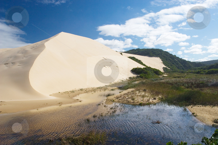 To use this stock image in your creative project, please select the size you need over to the right and click the "Add to Cart" button.
Your downloaded image will come with the Cutcaster watermark removed so don’t worry about the watermark you see on this page. Dunes #4 stock photo, River next to the sand dunes by Sean Nel