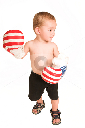 To use this stock image in your creative project, please select the size you need over to the right and click the "Add to Cart" button.
Your downloaded image will come with the Cutcaster watermark removed so don’t worry about the watermark you see on this page. Clayton Booysen #6 stock photo, Todler standing with big boxing gloves. by Sean Nel
