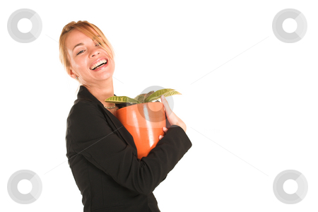 To use this stock image in your creative project, please select the size you need over to the right and click the "Add to Cart" button.
Your downloaded image will come with the Cutcaster watermark removed so don’t worry about the watermark you see on this page. Businesswoman #240 stock photo, Blonde business lady in formal black suit. Holding a potplant and laughing - Copy Space by Sean Nel