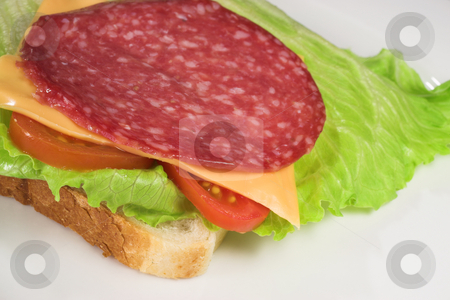 To use this stock image in your creative project, please select the size you need over to the right and click the "Add to Cart" button.
Your downloaded image will come with the Cutcaster watermark removed so don’t worry about the watermark you see on this page. Food #22 stock photo, A salami, cheese, tomato and lettuce sandwich on a white plate by Sean Nel