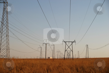 To use this stock image in your creative project, please select the size you need over to the right and click the "Add to Cart" button.
Your downloaded image will come with the Cutcaster watermark removed so don’t worry about the watermark you see on this page. Powercables #3 stock photo, Powerlines running through a national park by Sean Nel