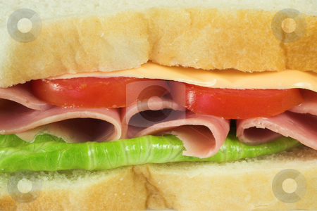 To use this stock image in your creative project, please select the size you need over to the right and click the "Add to Cart" button.
Your downloaded image will come with the Cutcaster watermark removed so don’t worry about the watermark you see on this page. Food #29 stock photo, A ham, cheese, tomato and lettuce sandwich on a white plate by Sean Nel