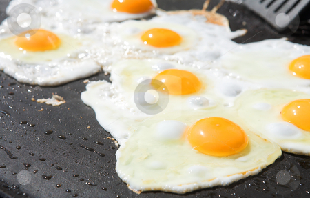 To use this stock image in your creative project, please select the size you need over to the right and click the "Add to Cart" button.
Your downloaded image will come with the Cutcaster watermark removed so don’t worry about the watermark you see on this page. Fresh eggs being fried stock photo, Fresh eggs being fried sunny side up on a large frying pan by Sean Nel