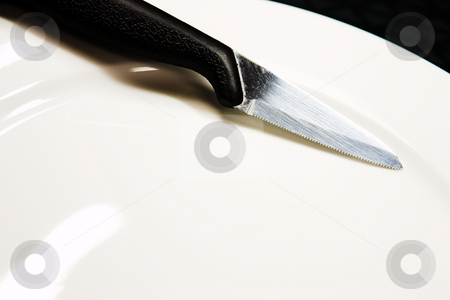 To use this stock image in your creative project, please select the size you need over to the right and click the "Add to Cart" button.
Your downloaded image will come with the Cutcaster watermark removed so don’t worry about the watermark you see on this page. Knife stock photo, A knife on a white plate. by Sean Nel