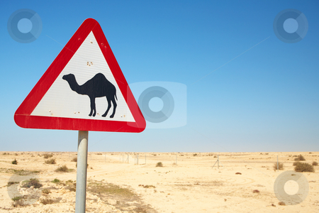 To use this stock image in your creative project, please select the size you need over to the right and click the "Add to Cart" button.
Your downloaded image will come with the Cutcaster watermark removed so don’t worry about the watermark you see on this page. Camel warning sign stock photo, Warning sign for camels on the road next to the roadway in Qatar, Middle East by Sean Nel