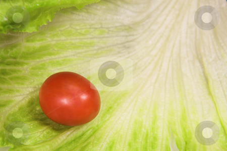 To use this stock image in your creative project, please select the size you need over to the right and click the "Add to Cart" button.
Your downloaded image will come with the Cutcaster watermark removed so don’t worry about the watermark you see on this page. Food #34 stock photo, Cherry tomato on a leaf of lettuce. by Sean Nel