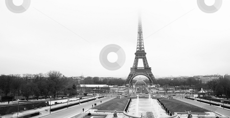 To use this stock image in your creative project, please select the size you need over to the right and click the "Add to Cart" button.
Your downloaded image will come with the Cutcaster watermark removed so don’t worry about the watermark you see on this page. Paris #51 stock photo, The Eiffel Tower in Paris, France. Black and white. Copy space. by Sean Nel
