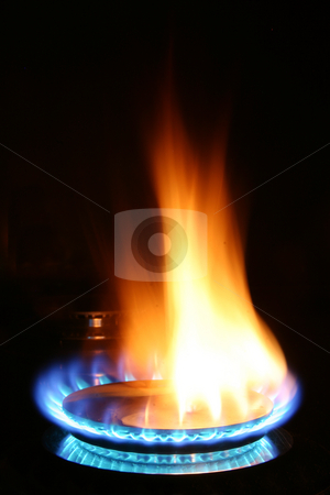 To use this stock image in your creative project, please select the size you need over to the right and click the "Add to Cart" button.
Your downloaded image will come with the Cutcaster watermark removed so don’t worry about the watermark you see on this page. Gas Burner stock photo, Blue gas flame on stove by Sean Nel