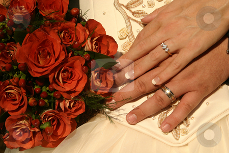 To use this stock image in your creative project, please select the size you need over to the right and click the "Add to Cart" button.
Your downloaded image will come with the Cutcaster watermark removed so don’t worry about the watermark you see on this page. New wedding rings stock photo, Wedding rings on display by Sean Nel