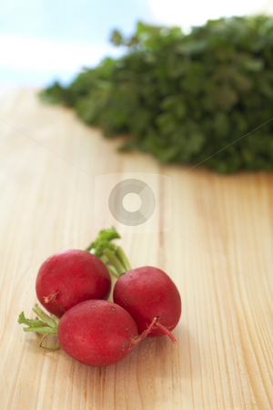 To use this stock image in your creative project, please select the size you need over to the right and click the "Add to Cart" button.
Your downloaded image will come with the Cutcaster watermark removed so don’t worry about the watermark you see on this page. Fresh vegetables on cutting board
Fresh vegetables on cutting bo stock photo, A variety of fresh vegetables on a wooden cutting board, including parsley and radish by Sean Nel