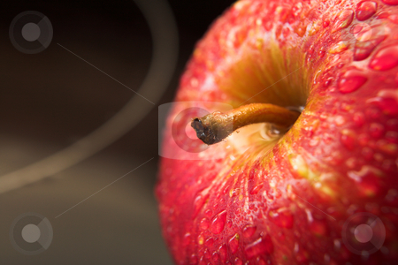 To use this stock image in your creative project, please select the size you need over to the right and click the "Add to Cart" button.
Your downloaded image will come with the Cutcaster watermark removed so don’t worry about the watermark you see on this page. Red Apple on black glass top stock photo, Close up view of a shiny red apple on a reflective black glass working surface with water drops on the surface (very shallow Depth of Field by Sean Nel