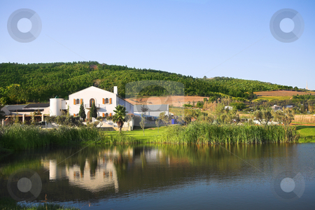 To use this stock image in your creative project, please select the size you need over to the right and click the "Add to Cart" button.
Your downloaded image will come with the Cutcaster watermark removed so don’t worry about the watermark you see on this page. Fairview wine farm in South Africa stock photo, The Fairview wine farm in South Africa, overlooking a large reservoir dam. The Paarl, Afrikaans Language monument is just visible in on the horizon by Sean Nel