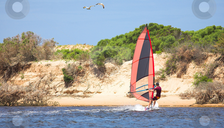 To use this stock image in your creative project, please select the size you need over to the right and click the "Add to Cart" button.
Your downloaded image will come with the Cutcaster watermark removed so don’t worry about the watermark you see on this page. Fast moving windsurfer stock photo, Fast moving windsurfer on the water at Keurbooms Lagoon, South Africa by Sean Nel