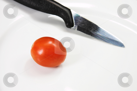 To use this stock image in your creative project, please select the size you need over to the right and click the "Add to Cart" button.
Your downloaded image will come with the Cutcaster watermark removed so don’t worry about the watermark you see on this page. Knife stock photo, A knife and a cherry tomato on a white plate. by Sean Nel