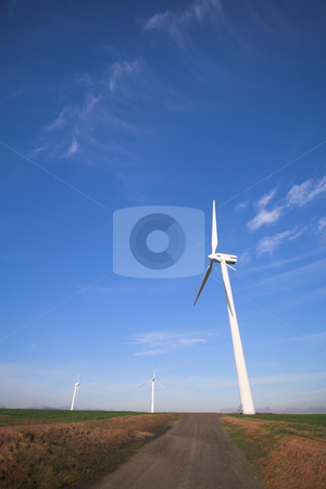 To use this stock image in your creative project, please select the size you need over to the right and click the "Add to Cart" button.
Your downloaded image will come with the Cutcaster watermark removed so don’t worry about the watermark you see on this page. Wind powered turbine stock photo, Wind powered electricity turbine in the green field on wind farm at sunset by Sean Nel
