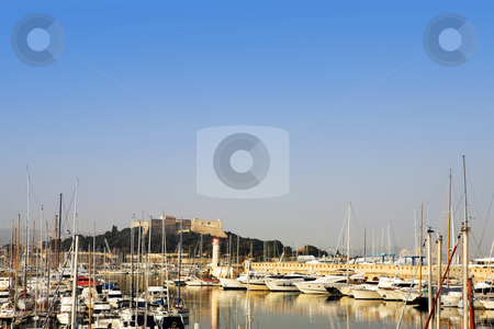 To use this stock image in your creative project, please select the size you need over to the right and click the "Add to Cart" button.
Your downloaded image will come with the Cutcaster watermark removed so don’t worry about the watermark you see on this page. Antibes #275 stock photo, A harbor in Antibes, France. Copy space. by Sean Nel