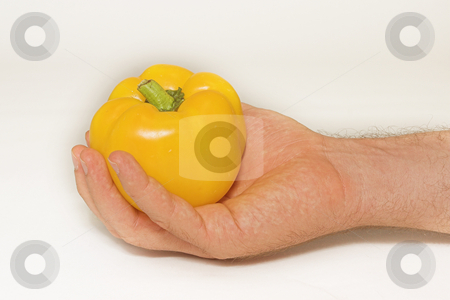 To use this stock image in your creative project, please select the size you need over to the right and click the "Add to Cart" button.
Your downloaded image will come with the Cutcaster watermark removed so don’t worry about the watermark you see on this page. Peppers #5 stock photo, Yellow Pepper in hand by Sean Nel