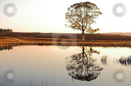 To use this stock image in your creative project, please select the size you need over to the right and click the "Add to Cart" button.
Your downloaded image will come with the Cutcaster watermark removed so don’t worry about the watermark you see on this page. Flyfish #31 stock photo, A fly fisherman casting a line in Dullstroom, South Africa by Sean Nel