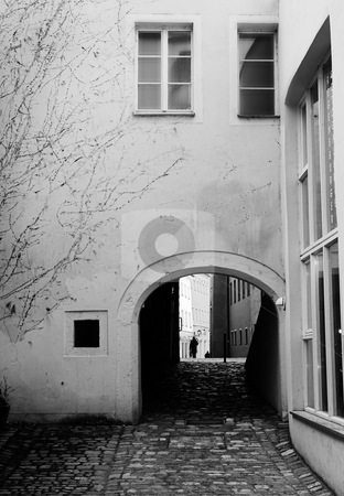 To use this stock image in your creative project, please select the size you need over to the right and click the "Add to Cart" button.
Your downloaded image will come with the Cutcaster watermark removed so don’t worry about the watermark you see on this page. Buildings in Regensburg stock photo, Buildings with windows and cobblestone walkway in Regensburg, Germany. Black and white by Sean Nel