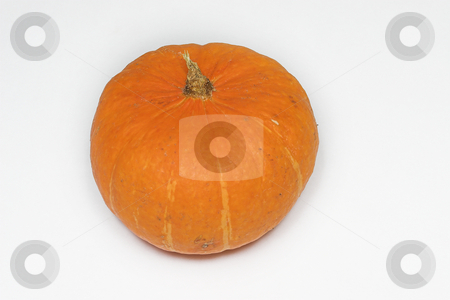 To use this stock image in your creative project, please select the size you need over to the right and click the "Add to Cart" button.
Your downloaded image will come with the Cutcaster watermark removed so don’t worry about the watermark you see on this page. Pumpkin #1 stock photo, Orange Pumpkin by Sean Nel