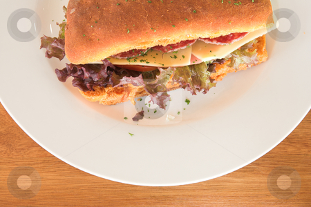 To use this stock image in your creative project, please select the size you need over to the right and click the "Add to Cart" button.
Your downloaded image will come with the Cutcaster watermark removed so don’t worry about the watermark you see on this page. Lunch #09 stock photo, A healthy French tomato panini with salami by Sean Nel