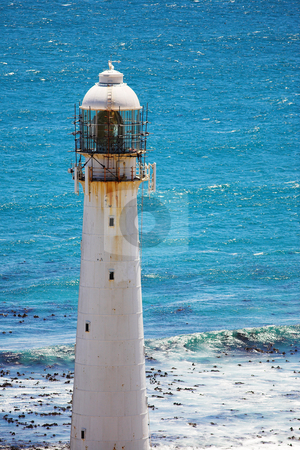 To use this stock image in your creative project, please select the size you need over to the right and click the "Add to Cart" button.
Your downloaded image will come with the Cutcaster watermark removed so don’t worry about the watermark you see on this page. Lighthouse #3 stock photo, The Slangkop Lighthouse at Kommetjie, Western Cape. The Tallest Lighthouse in South Africa by Sean Nel