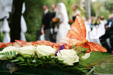 To use this stock image in your creative project, please select the size you need over to the right and click the "Add to Cart" button.
Your downloaded image will come with the Cutcaster watermark removed so don’t worry about the watermark you see on this page. Butterfly stock photo, Butterfly decoration on wedding bouquet by Sean Nel
