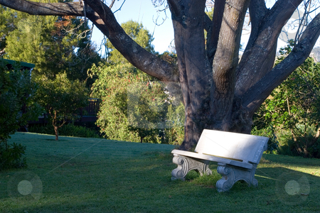 To use this stock image in your creative project, please select the size you need over to the right and click the "Add to Cart" button.
Your downloaded image will come with the Cutcaster watermark removed so don’t worry about the watermark you see on this page. Plants #6 stock photo, Lovers bench under a leafless tree, winter - Knysna, South Africa by Sean Nel