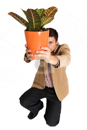 To use this stock image in your creative project, please select the size you need over to the right and click the "Add to Cart" button.
Your downloaded image will come with the Cutcaster watermark removed so don’t worry about the watermark you see on this page. Businessman #127 stock photo, Businessman kneeling down, holding pot plant. by Sean Nel