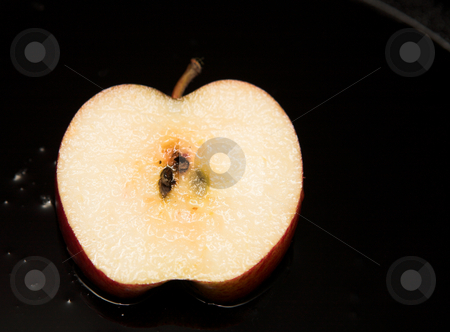 To use this stock image in your creative project, please select the size you need over to the right and click the "Add to Cart" button.
Your downloaded image will come with the Cutcaster watermark removed so don’t worry about the watermark you see on this page. Fresh slice of fried apple stock photo, Fresh slice of fried apple dessert on a black pan covered in sauce by Sean Nel