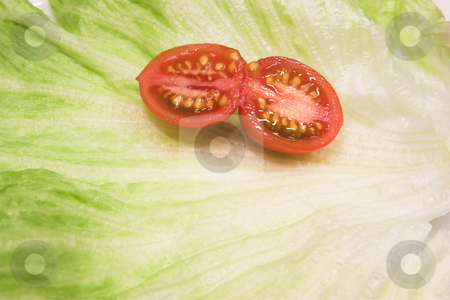 To use this stock image in your creative project, please select the size you need over to the right and click the "Add to Cart" button.
Your downloaded image will come with the Cutcaster watermark removed so don’t worry about the watermark you see on this page. Food #38 stock photo, Cherry tomato on a leaf of lettuce by Sean Nel