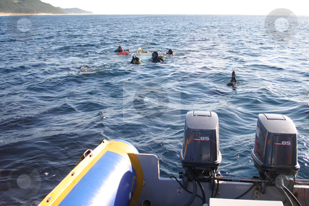 To use this stock image in your creative project, please select the size you need over to the right and click the "Add to Cart" button.
Your downloaded image will come with the Cutcaster watermark removed so don’t worry about the watermark you see on this page. Scuba divers stock photo, Scuba divers about to be picked up by Sean Nel