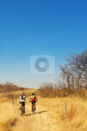 To use this stock image in your creative project, please select the size you need over to the right and click the "Add to Cart" button.
Your downloaded image will come with the Cutcaster watermark removed so don’t worry about the watermark you see on this page. Mountainbiking #9 stock photo, A couple of mountain bikers - Copy Space by Sean Nel