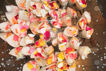 To use this stock image in your creative project, please select the size you need over to the right and click the "Add to Cart" button.
Your downloaded image will come with the Cutcaster watermark removed so don’t worry about the watermark you see on this page. Rose petal confetti stock photo, A flower and feather arrangement with red, pink and yellow rose petals inside small folded music sheets at a wedding reception by Sean Nel