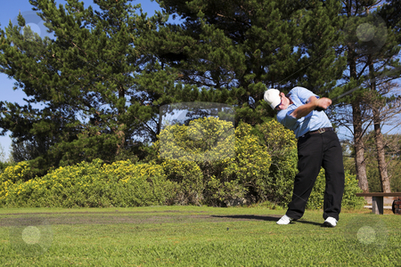 To use this stock image in your creative project, please select the size you need over to the right and click the "Add to Cart" button.
Your downloaded image will come with the Cutcaster watermark removed so don’t worry about the watermark you see on this page. Golf #36 stock photo, Man playing golf. by Sean Nel