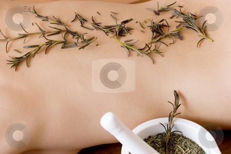 To use this stock image in your creative project, please select the size you need over to the right and click the "Add to Cart" button.
Your downloaded image will come with the Cutcaster watermark removed so don’t worry about the watermark you see on this page. Massage #11 stock photo, Lavender twigs on clean naked back by Sean Nel
