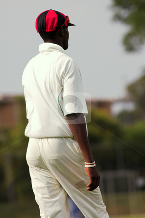 To use this stock image in your creative project, please select the size you need over to the right and click the "Add to Cart" button.
Your downloaded image will come with the Cutcaster watermark removed so don’t worry about the watermark you see on this page. Cricket #4 stock photo, Cricketers playing in the late afternoon by Sean Nel