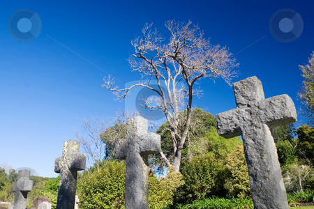 To use this stock image in your creative project, please select the size you need over to the right and click the "Add to Cart" button.
Your downloaded image will come with the Cutcaster watermark removed so don’t worry about the watermark you see on this page. Graves #7 stock photo, Old stone Grave in the shape of a cross at the Belvedere Church, Knysna, South Africa by Sean Nel