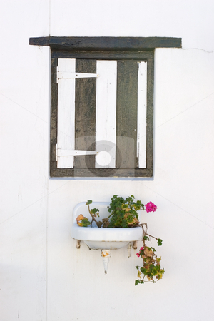 To use this stock image in your creative project, please select the size you need over to the right and click the "Add to Cart" button.
Your downloaded image will come with the Cutcaster watermark removed so don’t worry about the watermark you see on this page. Window #3 stock photo, Pink flowering plant in a basin under a wooden window shutter by Sean Nel