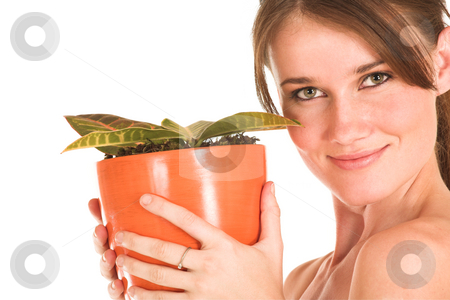 To use this stock image in your creative project, please select the size you need over to the right and click the "Add to Cart" button.
Your downloaded image will come with the Cutcaster watermark removed so don’t worry about the watermark you see on this page. Business Woman #435 stock photo, Young female holding a pot plant. Smiling. Copy space. by Sean Nel