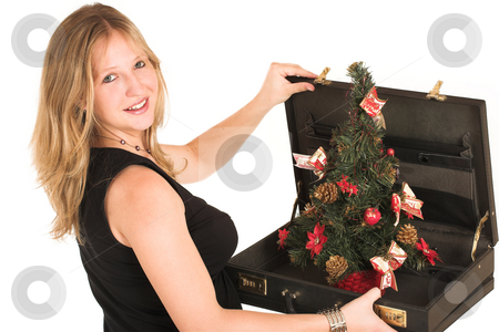 To use this stock image in your creative project, please select the size you need over to the right and click the "Add to Cart" button.
Your downloaded image will come with the Cutcaster watermark removed so don’t worry about the watermark you see on this page. Business Woman #508 stock photo, Pregnant Business Woman, wearing black top, holding briefcase with Christamas Tree inside. by Sean Nel